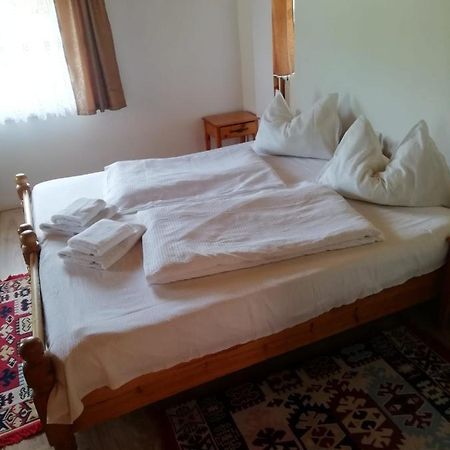 Vila Ovi Hotel Bran  Exterior photo