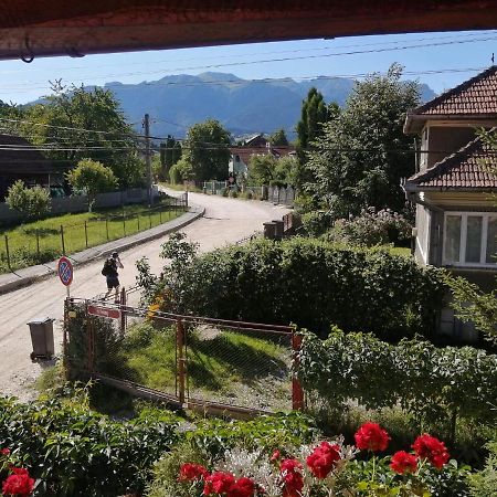 Vila Ovi Hotel Bran  Exterior photo