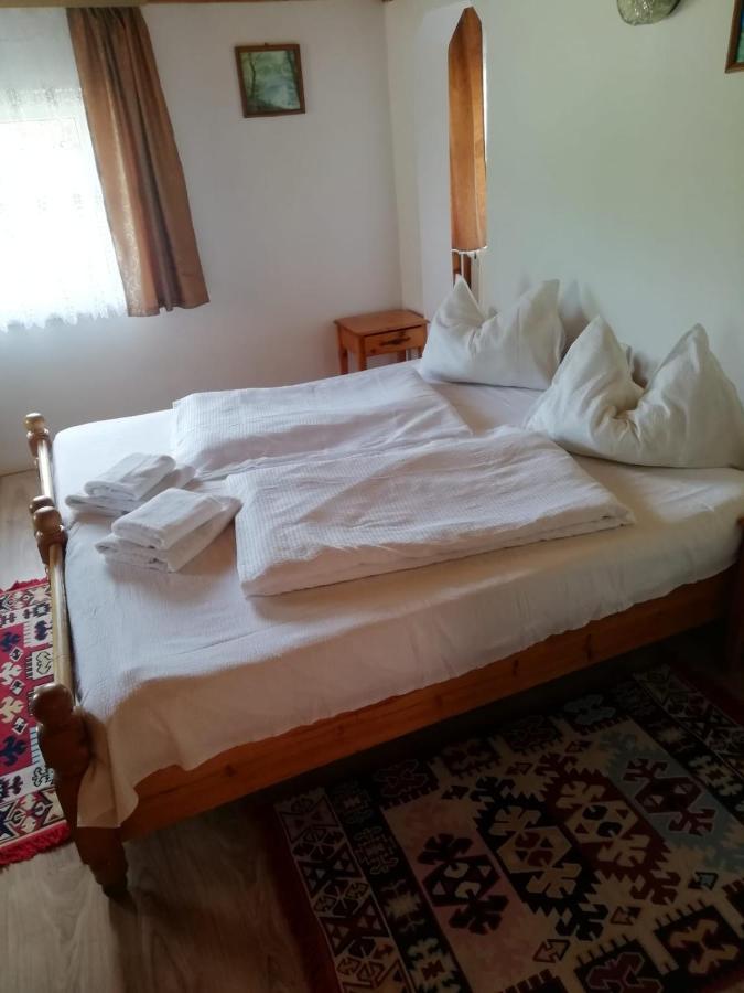 Vila Ovi Hotel Bran  Exterior photo