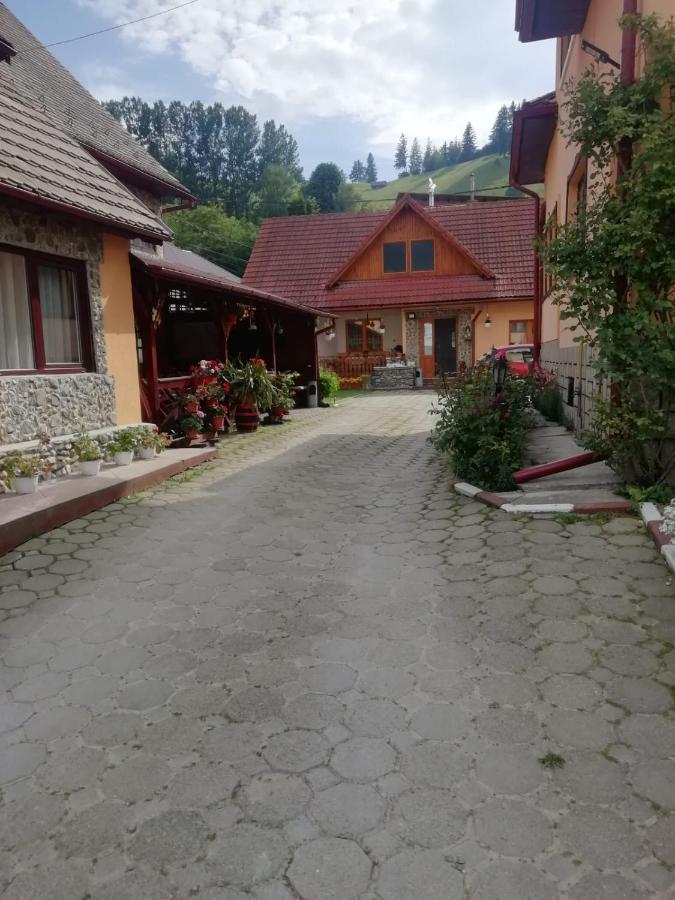 Vila Ovi Hotel Bran  Exterior photo