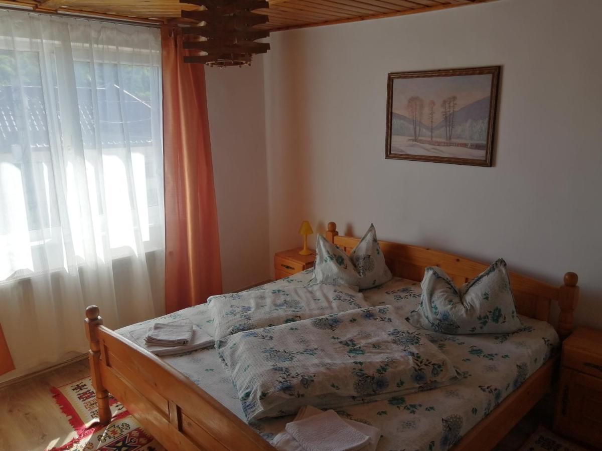 Vila Ovi Hotel Bran  Exterior photo